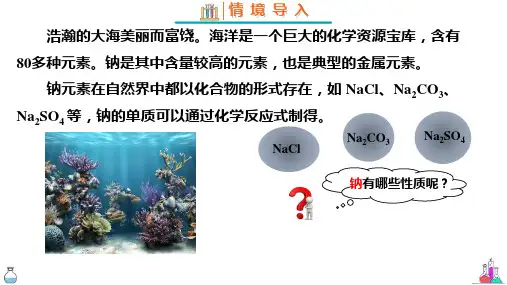 活泼的金属单质——钠ppt课件