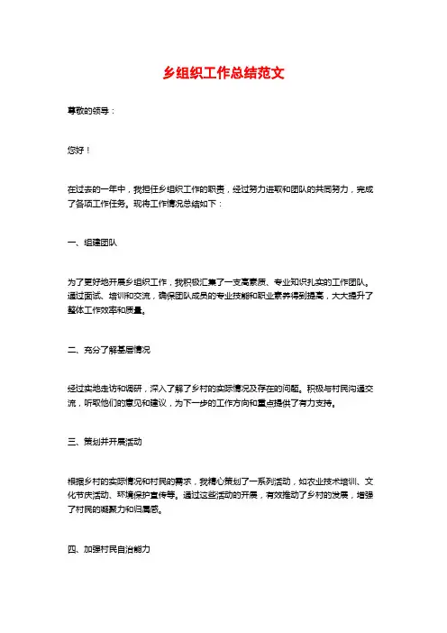 乡组织工作总结范文