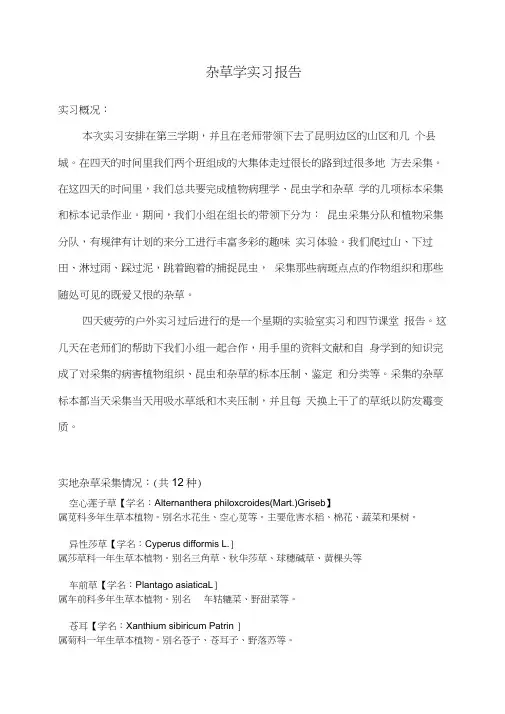 杂草实习报告