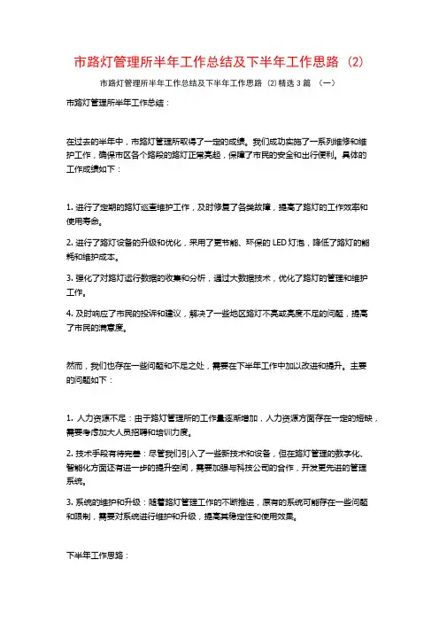 市路灯管理所半年工作总结及下半年工作思路 (2)3篇