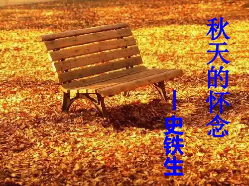 第5课《秋天的怀念》课件(共28张PPT)  部编版语文七年级上册