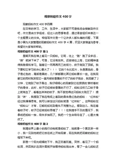 观察蚂蚁作文400字四篇