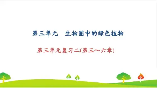 最新人教版生物七年级上册第三单元复习二(第三～六章)习题课件