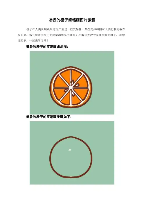 喷香的橙子简笔画图片教程