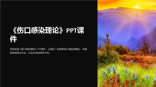 《伤口感染理论》课件