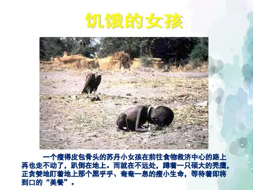 苏教版-生物-七年级下册课件：9.1人体需要的主要营养物质