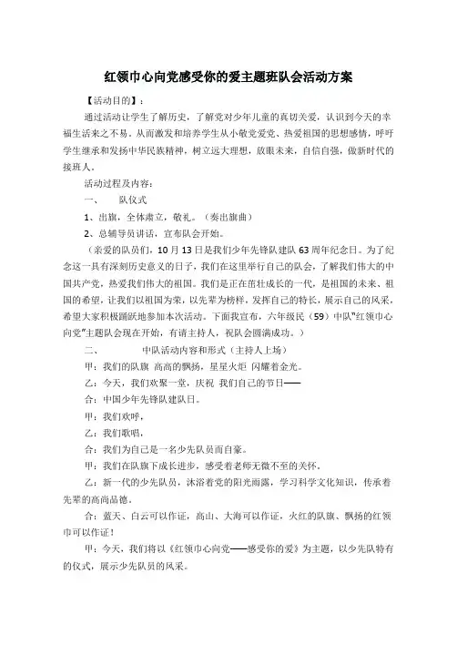 红领巾心向党感受你的爱主题班队会活动方案