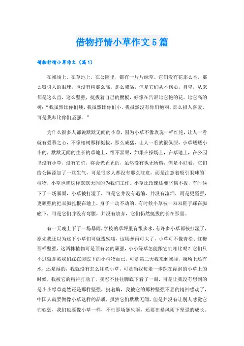 借物抒情小草作文5篇.doc