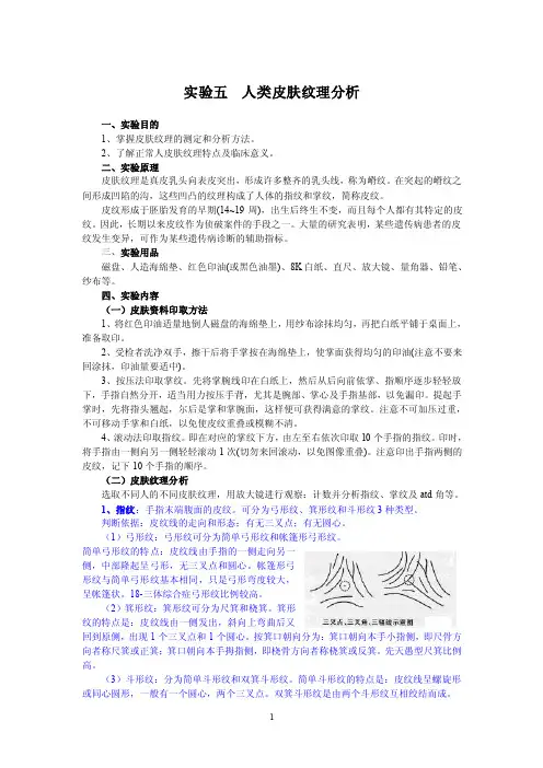 实验05人类皮肤纹理分析