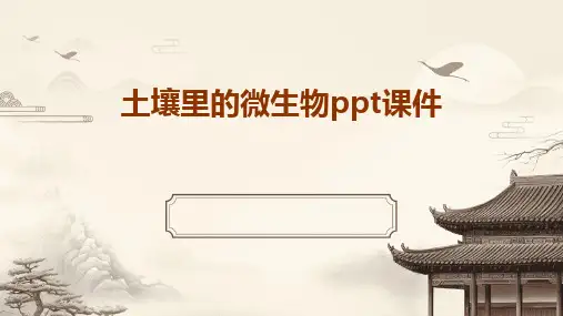 土壤里的微生物ppt课件