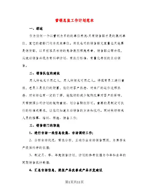 营销总监工作计划范本（三篇）
