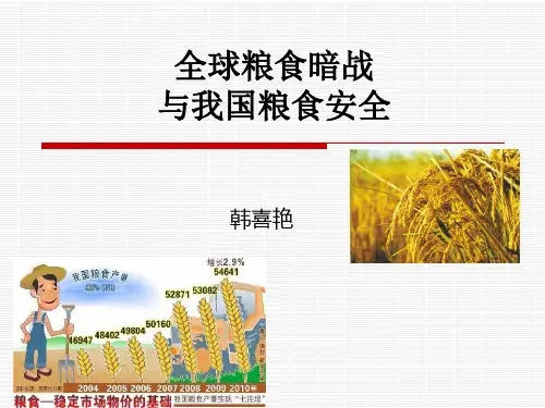中国的粮食安全讲座.ppt