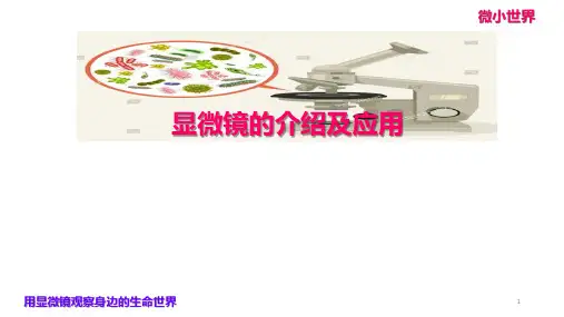 显微镜的介绍及应用