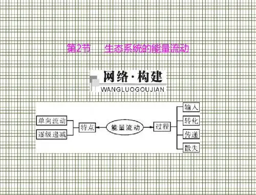 生物5.2生态系统的能量流动课件(人教版必修3)
