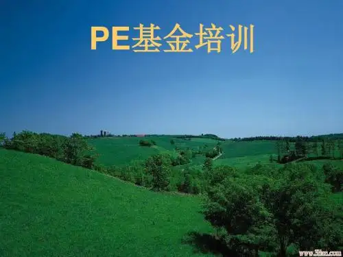 公司股权管理与PE股权基金管理知识培训(ppt67张)