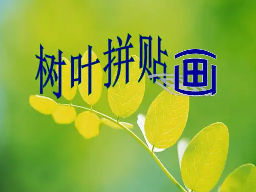 树叶贴画 ppt课件