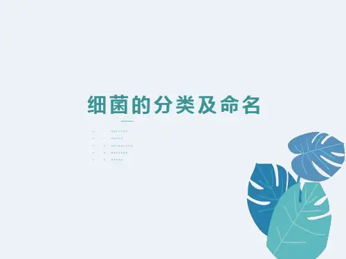 细菌的分类及命名