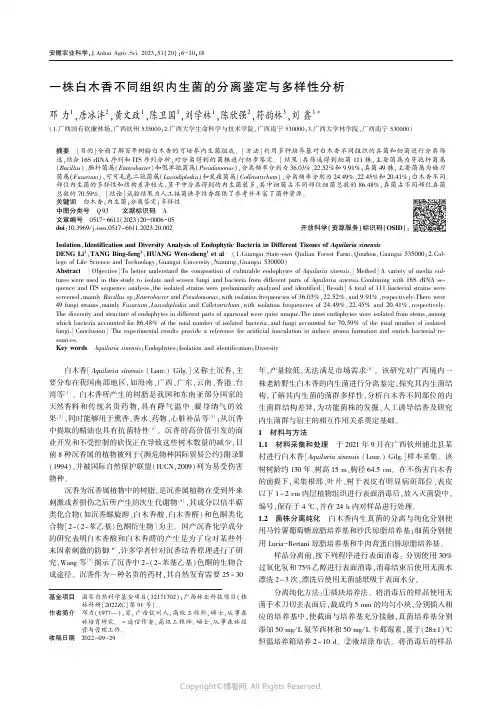 一株白木香不同组织内生菌的分离鉴定与多样性分析