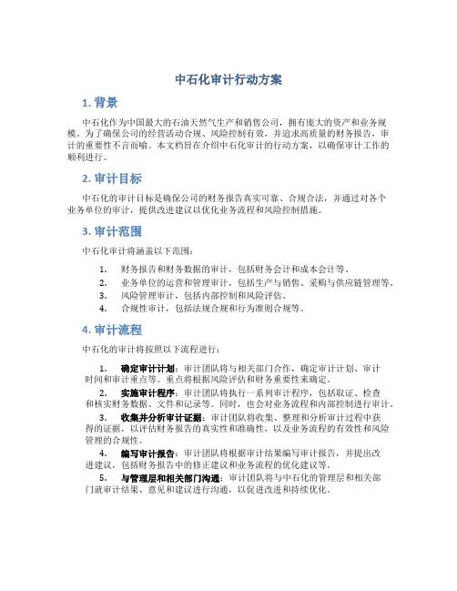 中石化审计行动方案