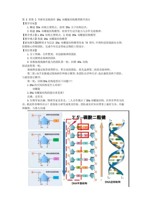DNA的结构——探究实践制作+DNA+双螺旋结构模型+教学设计-高一下学期生物人教版必修2