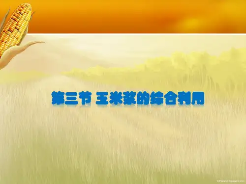 第四章玉米加工副产品综合利用第三节