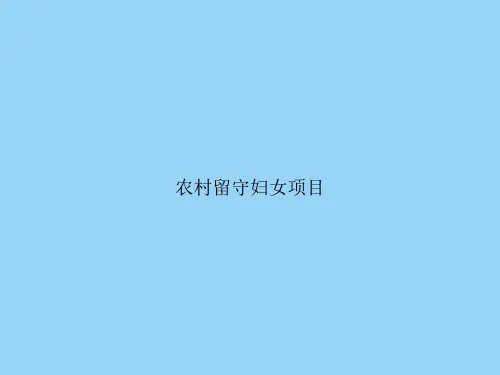 农村留守妇女项目