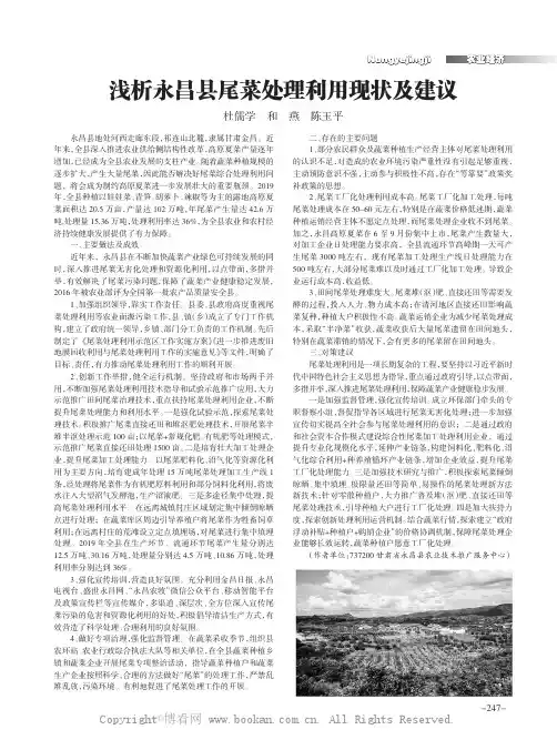 浅析永昌县尾菜处理利用现状及建议