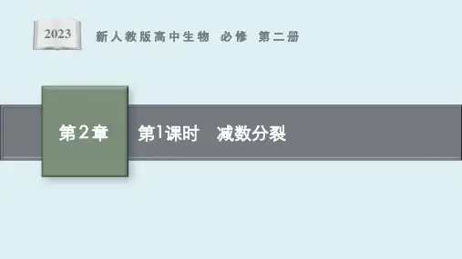 第2章 第1节 第1课时 《减数分裂》课件ppt