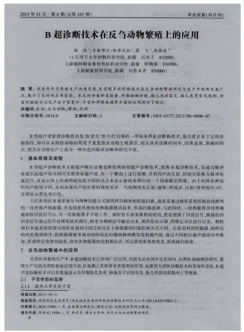B超诊断技术在反刍动物繁殖上的应用