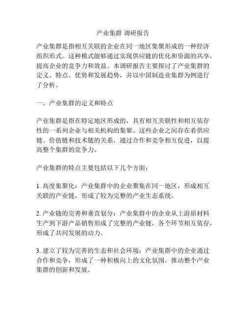 产业集群 调研报告