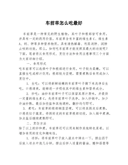 车前草怎么吃最好