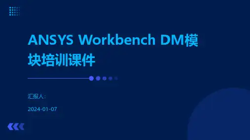 ANSYS Workbench DM模块培训课件