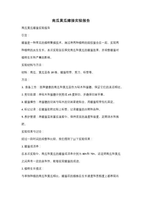 南瓜黄瓜嫁接实验报告
