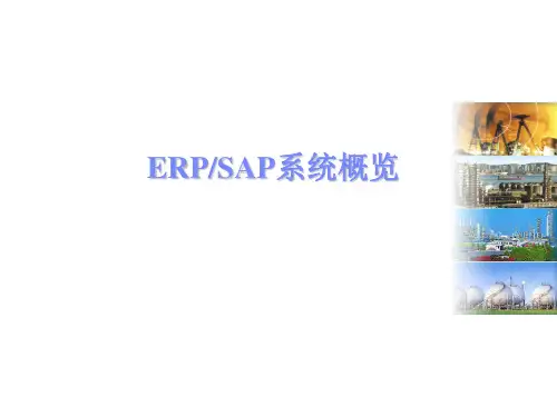 ERP-SAP系统概览