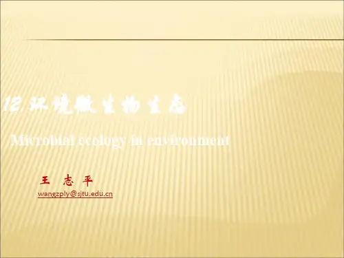 【课件】上海交通大学-环境微生物-微生物生态精品版