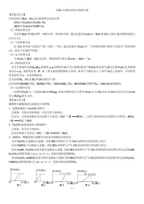 专题—钠及其化合物 计算