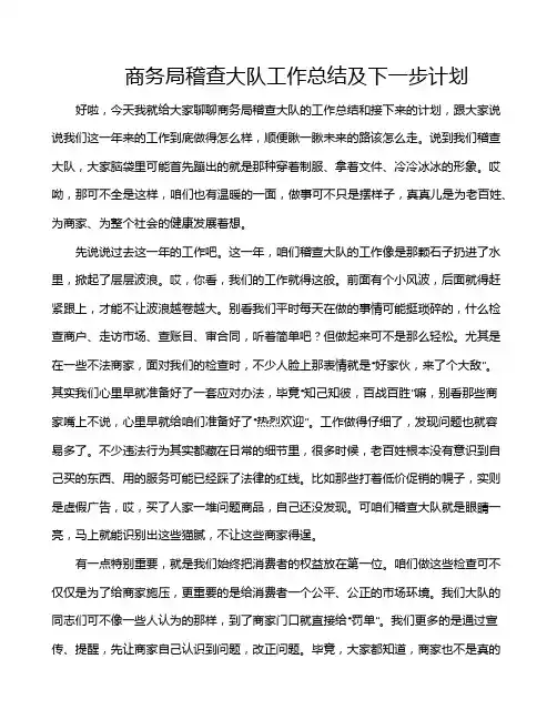 商务局稽查大队工作总结及下一步计划