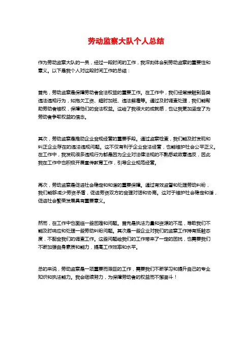 劳动监察大队个人总结