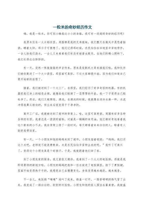 一粒米的奇妙经历作文