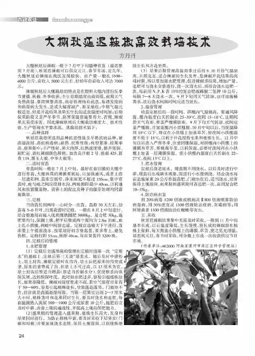 大棚秋延迟辣椒高效栽培技术