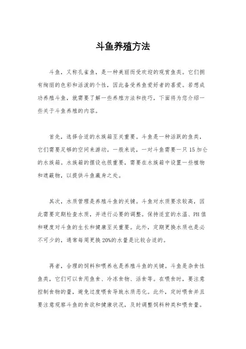 斗鱼养殖方法