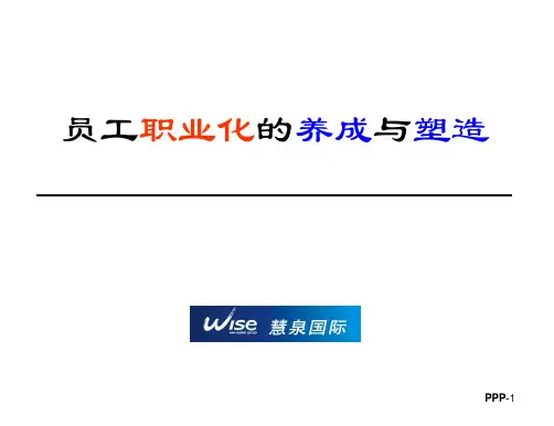 打造职业化团队(余世维)