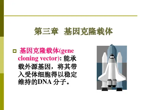 第三章  基因克隆载体