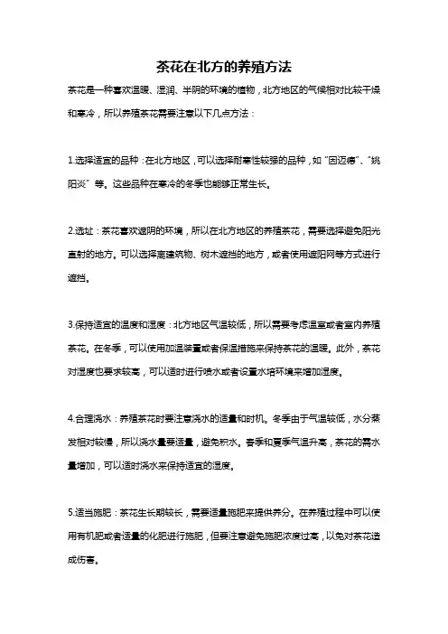 茶花在北方的养殖方法