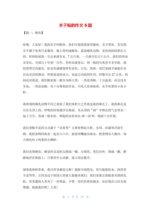 关于鲸的作文6篇