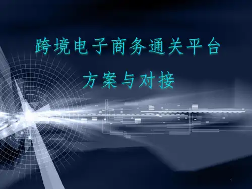 跨境电子商务通关平台方案与对接ppt课件