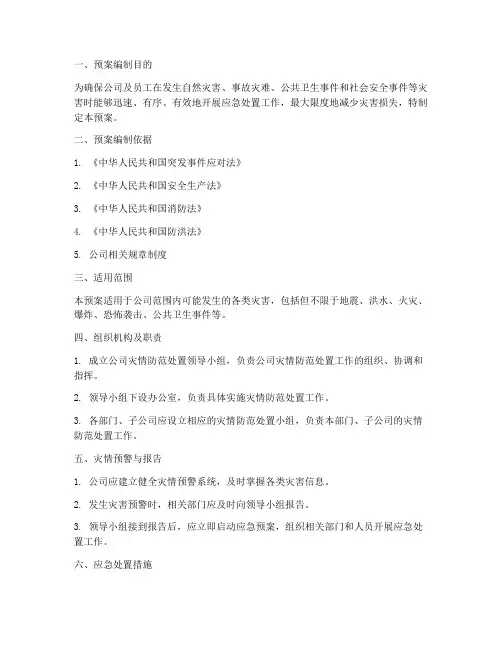 公司灾情防范处置预案