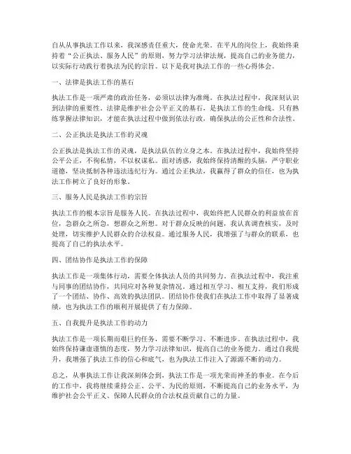 执法工作心得体会范文