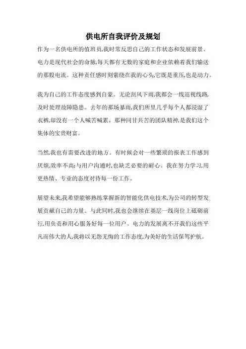 供电所自我评价及规划