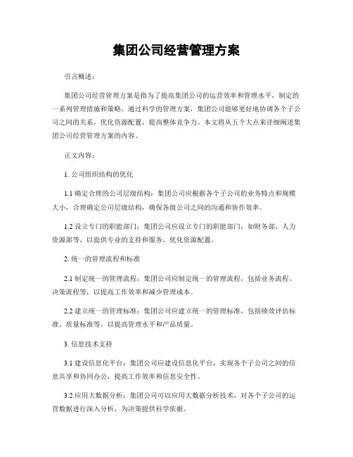 集团公司经营管理方案